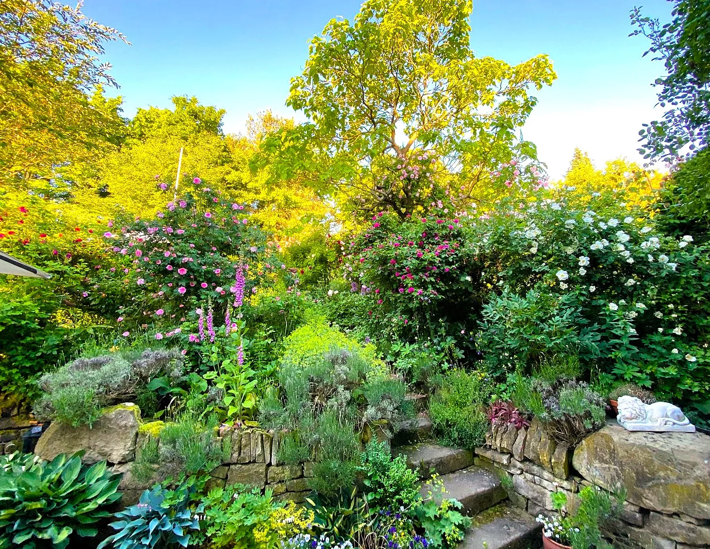 Gartengestaltung