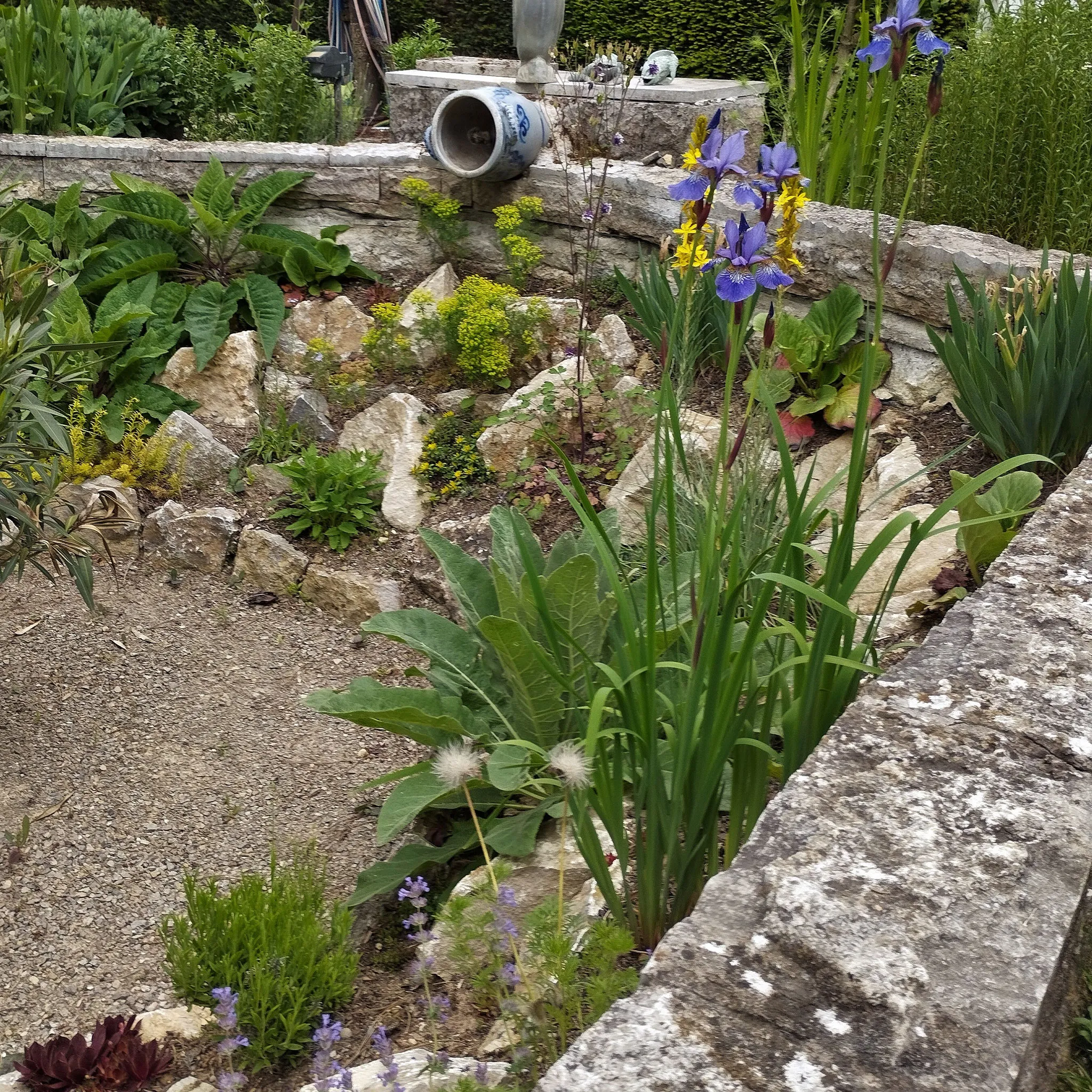 Umgestaltung Teich zum Senkgarten – JK Gartengestaltung Würzburg